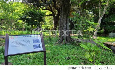 Remains of the tea ceremony waiting area 117208149