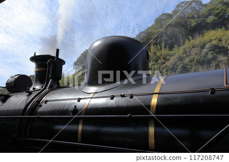 蒸汽機車，8620型，車號58654蒸汽穹頂和蒸汽 117208747