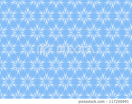 Flower geometric pattern. Seamless vector background. White and blue ornament Flower geometric pattern. Seamless vector background. White and blue ornament 117208991