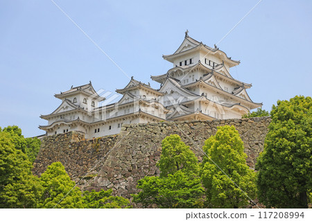 Himeji Castle: Multiple Towers Himeji Castle: Multiple Towers 117208994