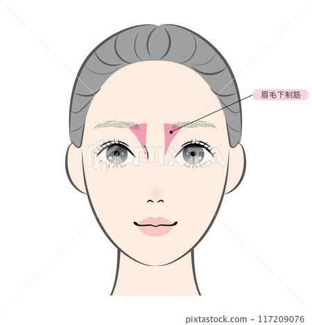 Depressor brow bones (named) 117209076