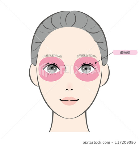 眼輪匝肌（含名稱） 117209080