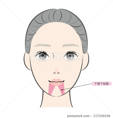 降下唇肌（命名） 117209146