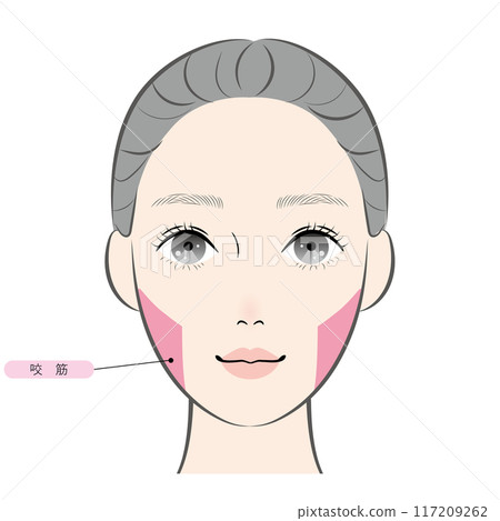 Masseter muscle (with name) Masseter muscle (with name) 117209262
