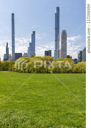 Manhattan skyscrapers and Central Park 117209304