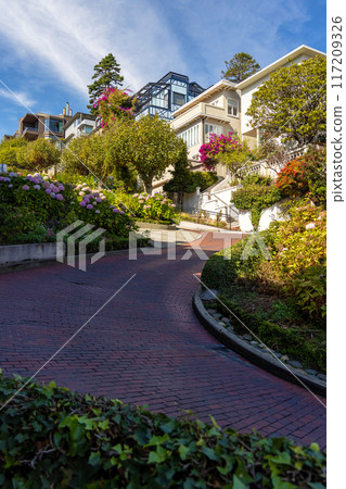 Lombard Street in San Francisco 117209326