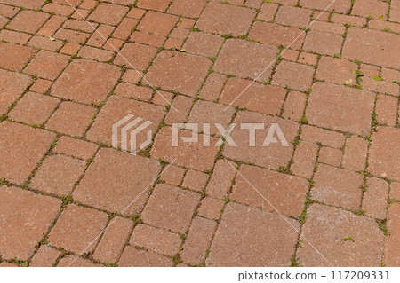 Texture and detail of a brick footpath Texture and detail of a brick footpath 117209331