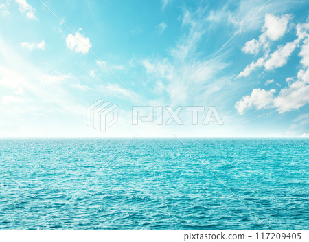 Summer landscape with a turquoise sea Summer landscape with a turquoise sea 117209405