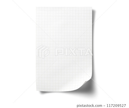 帶有網格的記事本片段 117209527