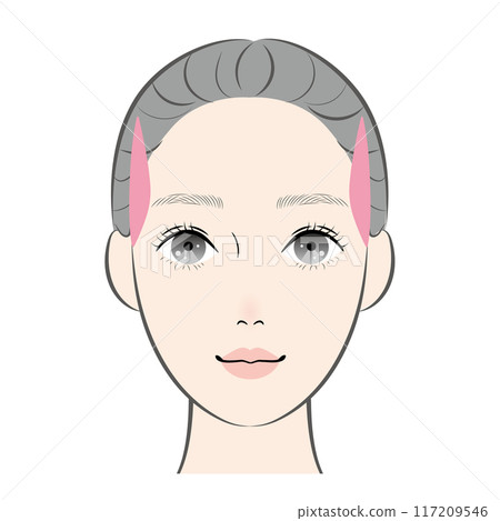 顳肌 顳肌 117209546