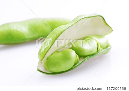 新鮮蠶豆 117209566