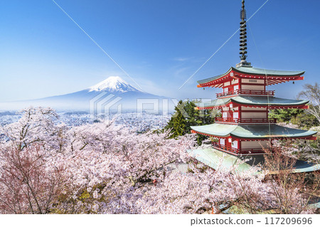 Spring scenery at Arakurayama Sengen Park, cherry blossoms, Mt. Fuji, and the Chureito Pagoda [Fujiyoshida City, Yamanashi Prefecture] 117209696