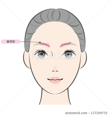 瓦楞紙皺紋(帶名稱) 瓦楞紙皺紋(帶名稱) 117209733