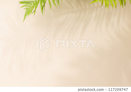Template wall with leaves shadow 117209747