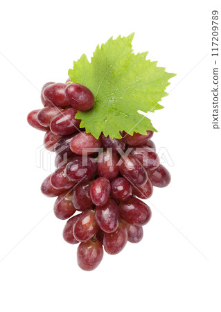 Red grapes 117209789