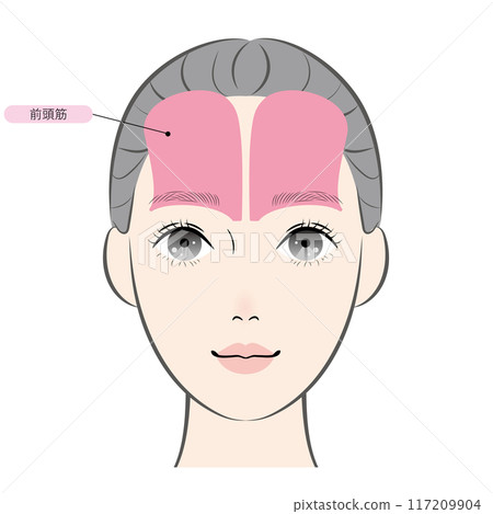 額肌(含名) 額肌(含名) 117209904