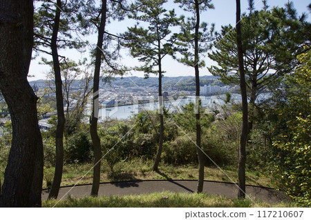 Nojima Park in spring with cherry blossoms in full bloom Nojima Park in spring with cherry blossoms in full bloom 117210607