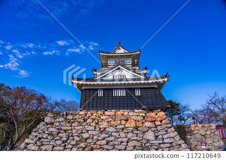 [Shizuoka Prefecture] Hamamatsu Castle: Castle tower 117210649