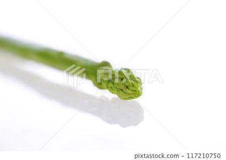 早上新鮮的蘆筍 早上新鮮的蘆筍 117210750