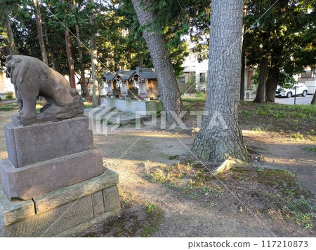埼玉縣蓮田市久津神社的守護犬和神社景觀 埼玉縣蓮田市久津神社的守護犬和神社景觀 117210873