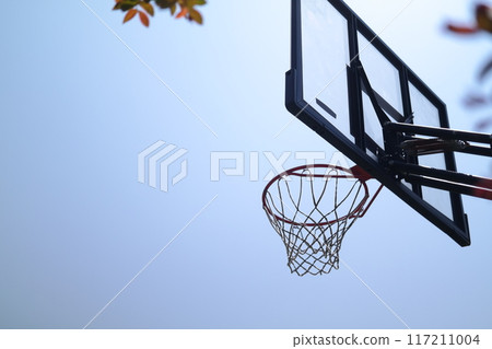 basketball, hoop, basket 117211004