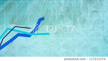 Image of blue lines and financial data processing over seascape Image of blue lines and financial data processing over seascape 117211574