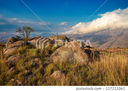 Andringitra national park,mountain landscape, Madagascar wilderness landscape Andringitra national park,mountain landscape, Madagascar wilderness landscape 117212061