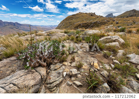 Andringitra national park,mountain landscape, Madagascar wilderness landscape 117212062
