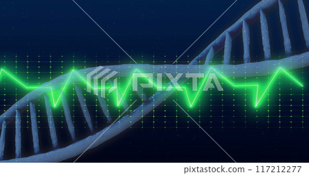 DNA strand with green heartbeat image over grid background DNA strand with green heartbeat image over grid background 117212277