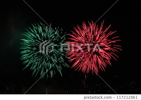 開花在夜空的煙花 開花在夜空的煙花 117212861