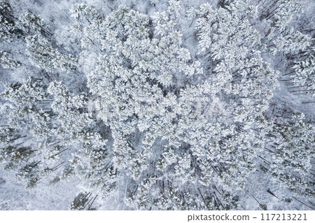 Breathtaking Aerial View Capturing a SnowCovered Forest Set Within a Magical Winter Wonderland Environment 117213221
