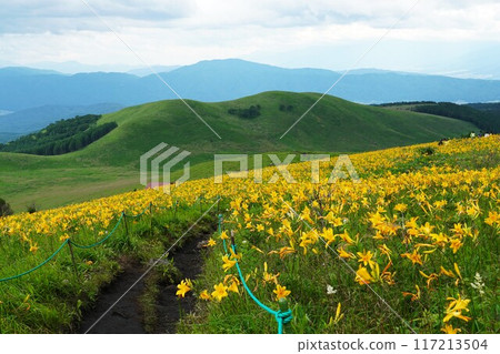 霧峰高原 - 富士見台上盛開的黃花菜和廣闊的全景 117213504