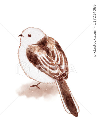 Shimaenaga 117214069