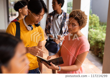 Teenagers in high school discussing notes in notebook, standing in hallway Teenagers in high school discussing notes in notebook, standing in hallway 117214299