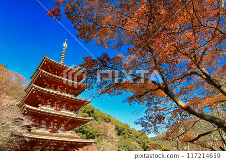 奈良，真言宗豐山宗總寺，大和國長谷寺，五層寶塔，秋葉 117214659