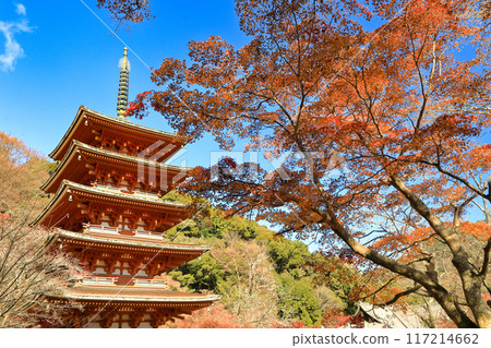 奈良,真言宗豐山宗總寺,大和國長谷寺,五層寶塔,秋葉 奈良,真言宗豐山宗總寺,大和國長谷寺,五層寶塔,秋葉 117214662