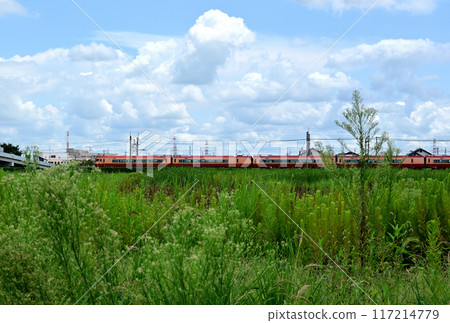 JR Tobu direct Kinugawa express 253 series train running through the countryside in summer 117214779