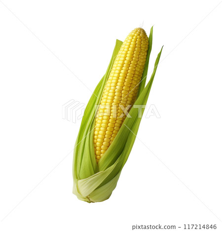 Isolated Sweet Corn Ears with Green Leaves Without Background. 117214846
