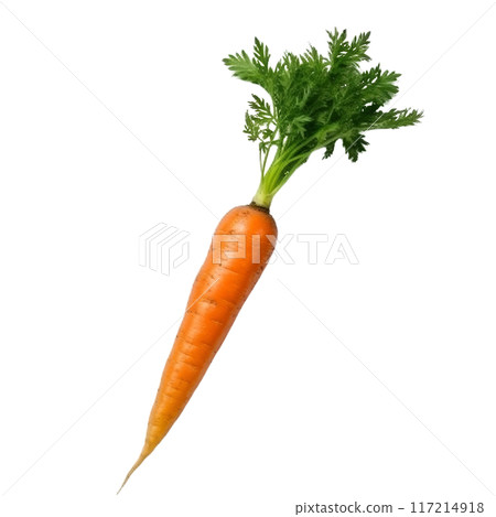 Fresh Orange Carrot with Green Leaves Isolated Without Background. 117214918