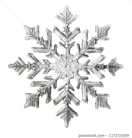 Intricate Crystal Snowflake Isolated with Transparent Background. Intricate Crystal Snowflake Isolated with Transparent Background. 117215009
