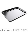 Isolated Metal Tray with Smooth Surface and Raised Edges 117215073