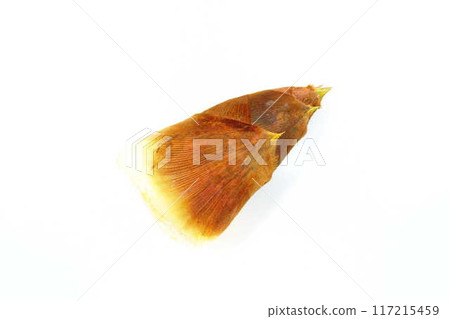 竹筍竹筍 竹筍竹筍 117215459