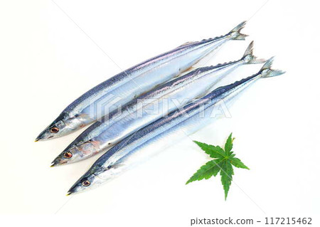 Sanma Sanma Sanma 117215462