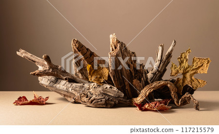 Old dry wooden snags with dried-up vine leaves on a beige background. Old dry wooden snags with dried-up vine leaves on a beige background. 117215579