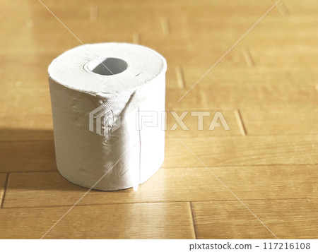 地板上的衛生紙_右空間 117216108