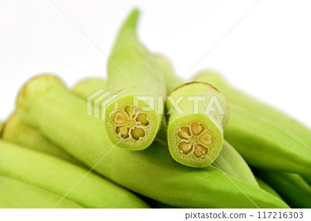 秋葵(白秋葵) 秋葵(白秋葵) 117216303