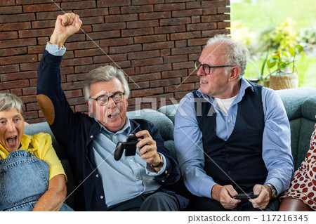 Joyful seniors delightfully engaging in video games together, celebrating life and friendship 117216345