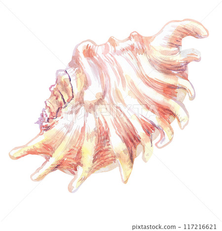 Shell isolate of underwater world in watercolor. Scorpion Spider Conch sea shell of flat, wavy fan-shaped with long protrusions along the edges. Beautiful sea snail`s house with blue, green, yellow 117216621