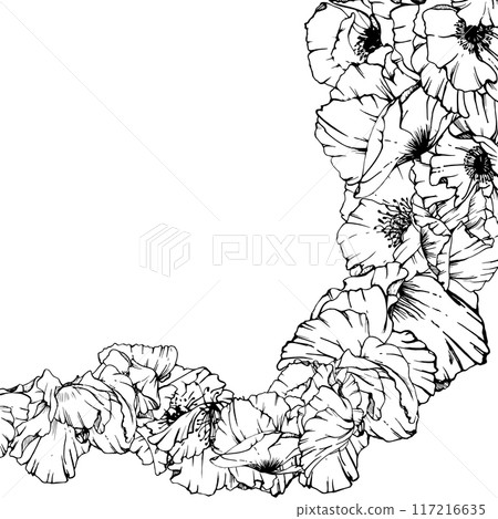 Hand drawn vector graphic botanical illustration flowers leaves. Red poppy papaver, stems buds seedpods. Border frame isolated on white background. Design wedding, cards, remembrance day stationery. Hand drawn vector graphic botanical illustration flowers leaves. Red poppy papaver, stems buds seedpods. Border frame isolated on white background. Design wedding, cards, remembrance day stationery. 117216635