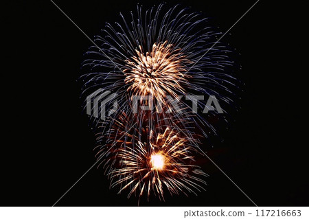 Light-up Fireworks Festival 2024-3 117216663